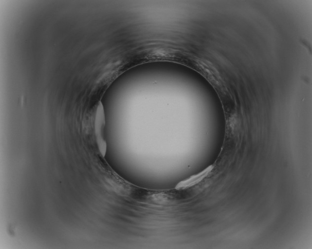X0000091880423200709051018