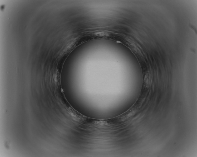 X0000091880424200709051018
