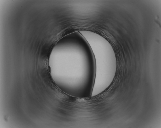 X0000091880425200709051018
