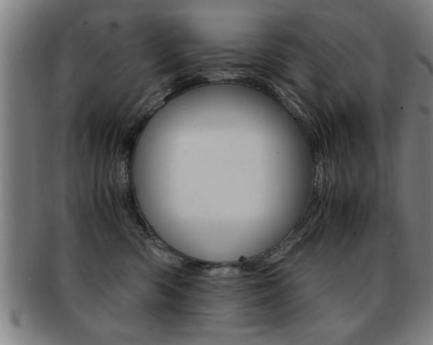 X0000091880426200709051018