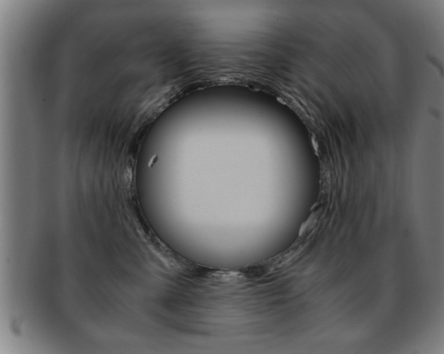 X0000091880427200709051018