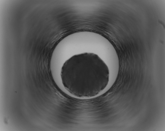 X0000091880428200709051018