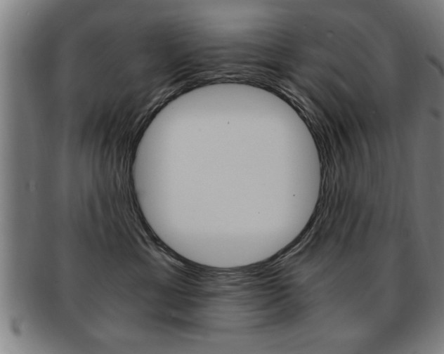 X0000091880429200709051018