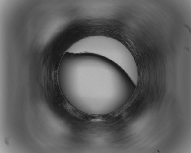 X0000091880430200709051018