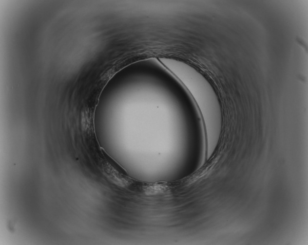 X0000091880432200709051018