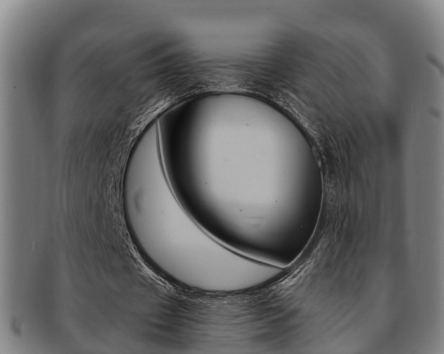 X0000091880433200709051017