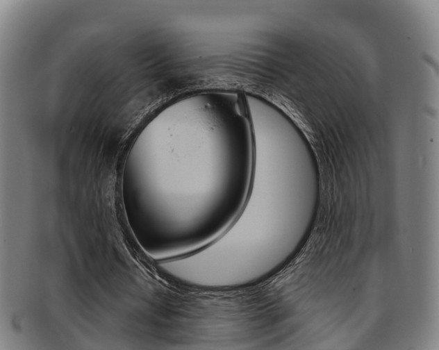 X0000091880434200709051017