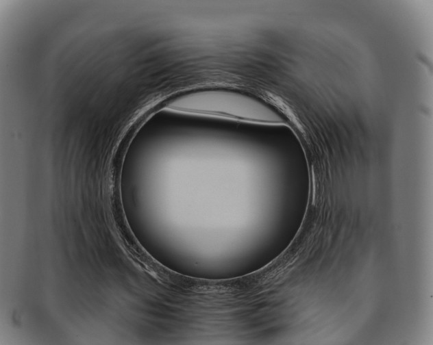 X0000091880435200709051017