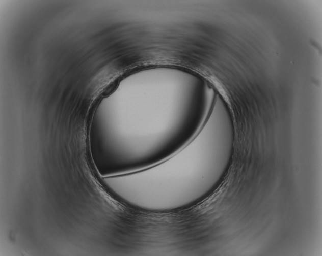 X0000091880437200709051018
