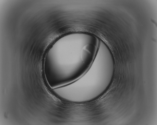 X0000091880438200709051018