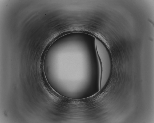 X0000091880439200709051018
