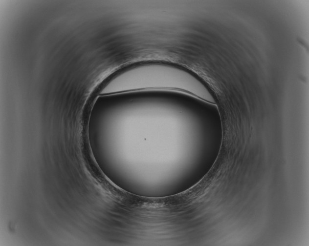 X0000091880440200709051018