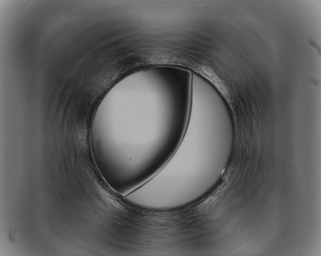 X0000091880441200709051018