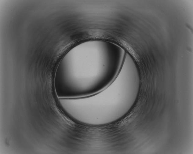 X0000091880442200709051018