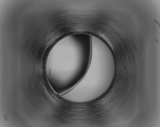 X0000091880443200709051018