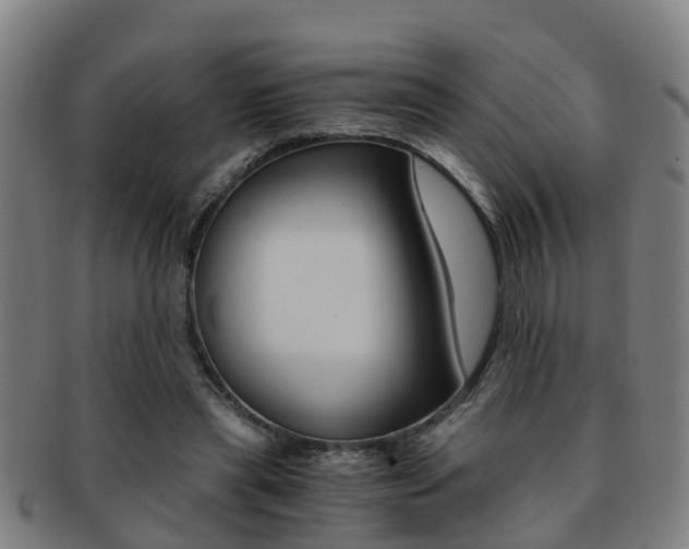 X0000091880445200709051018