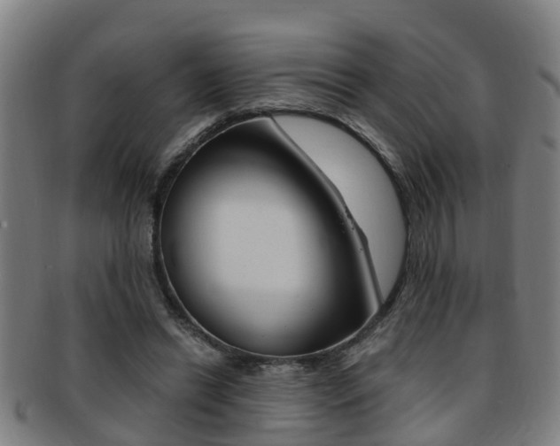 X0000091880446200709051018