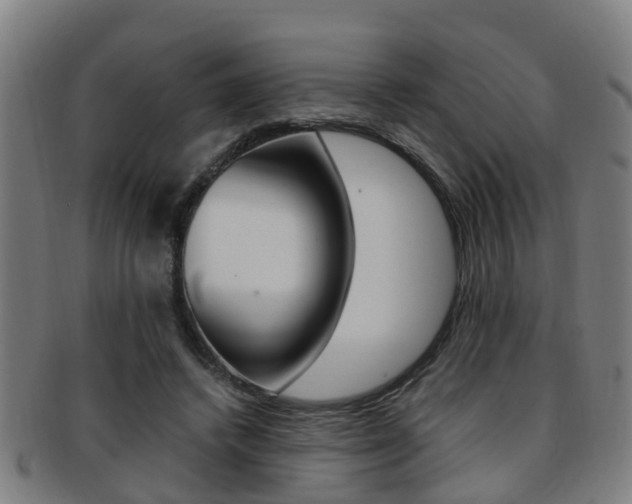 X0000091880448200709051018