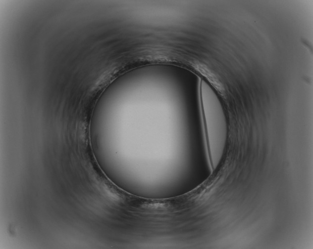 X0000091880449200709051018