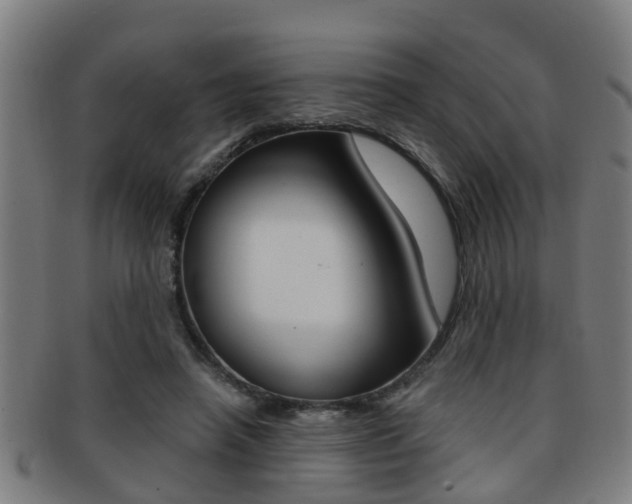 X0000091880450200709051018