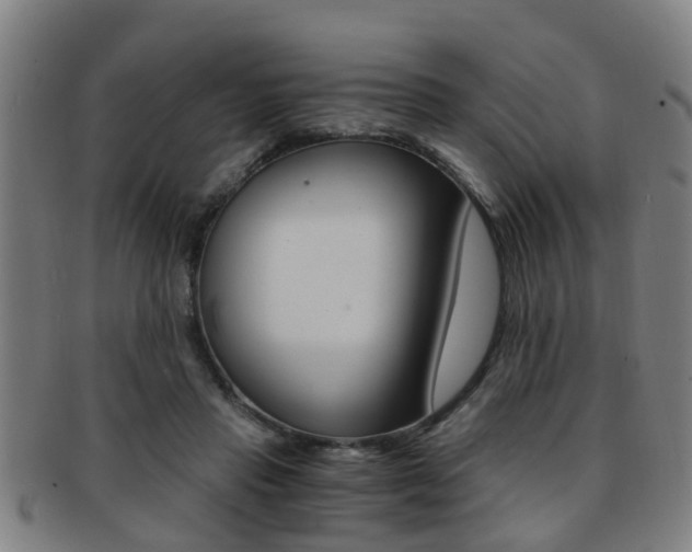 X0000091880453200709051018