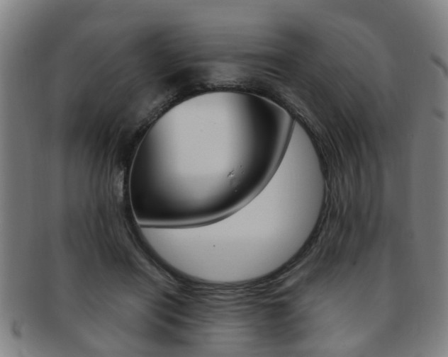 X0000091880454200709051018