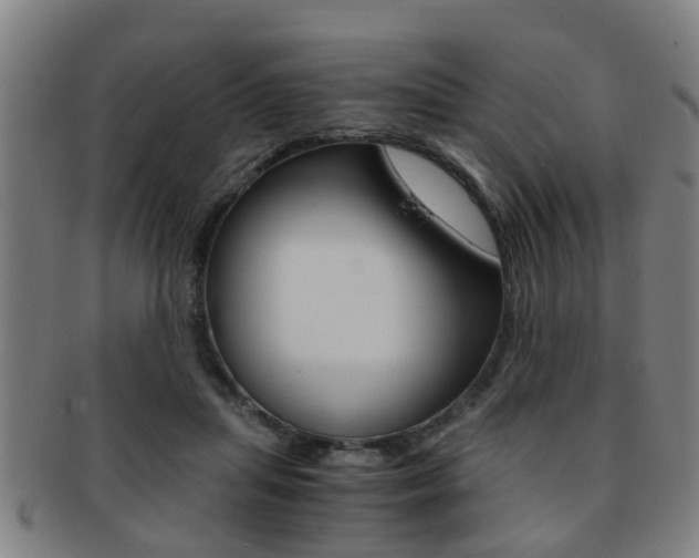 X0000091880455200709051018