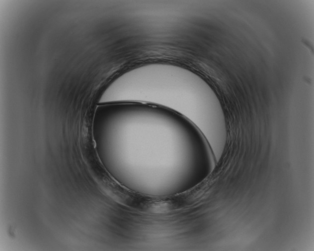 X0000091880456200709051018