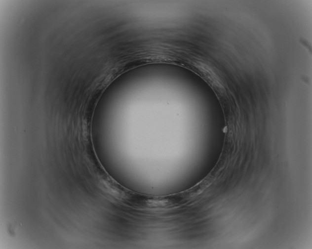 X0000091880457200709051018