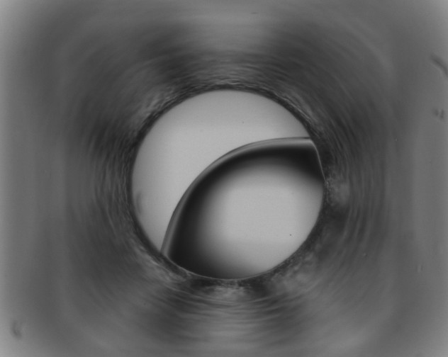 X0000091880458200709051018