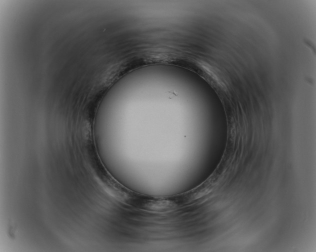 X0000091880459200709051018