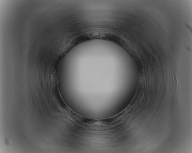 X0000091880460200709051018