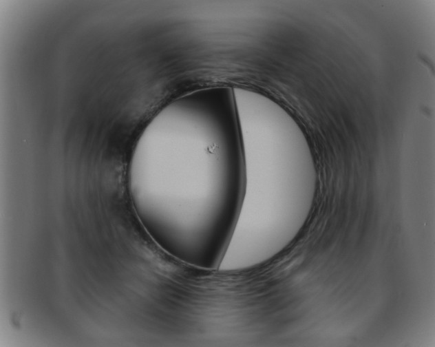 X0000091880462200709051018