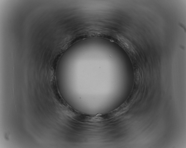 X0000091880463200709051018