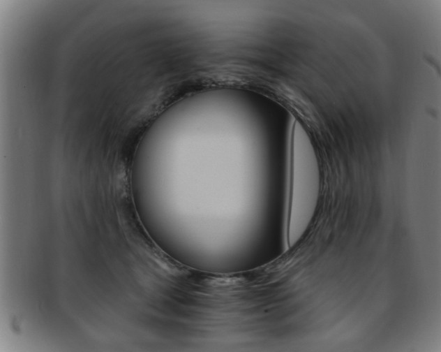 X0000091880465200709051018