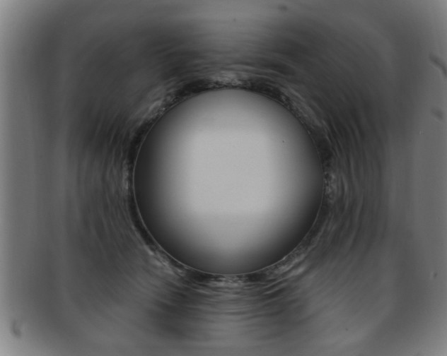 X0000091880466200709051018