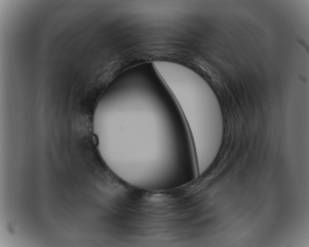 X0000091880467200709051018