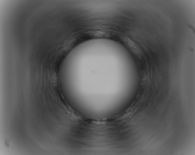 X0000091880469200709051018