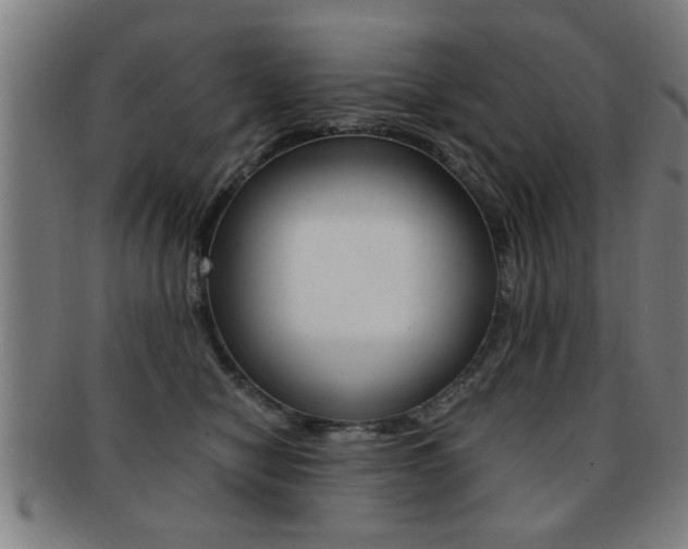 X0000091880470200709051018