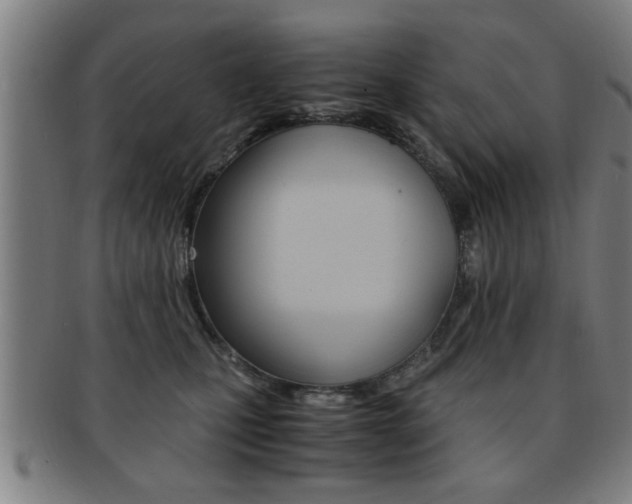 X0000091880471200709051018