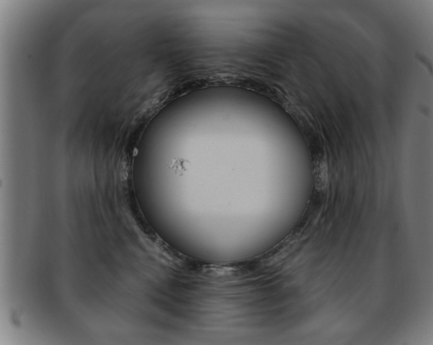 X0000091880472200709051018
