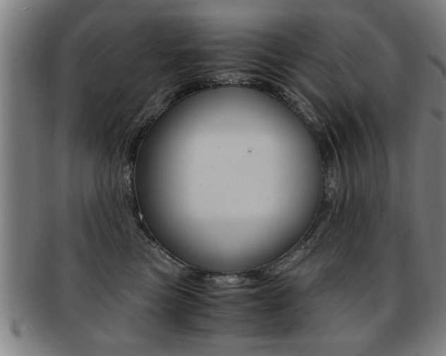 X0000091880473200709051018