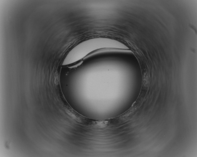 X0000091880474200709051018