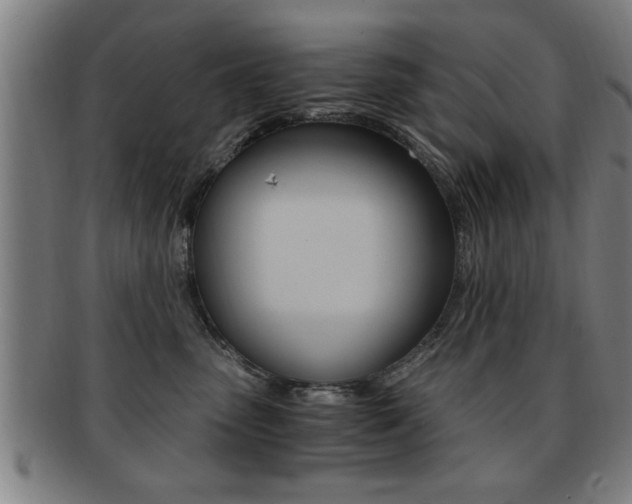 X0000091880475200709051018
