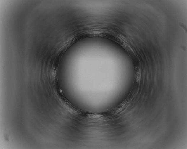 X0000091880476200709051018