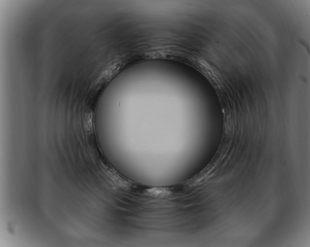 X0000091880477200709051018