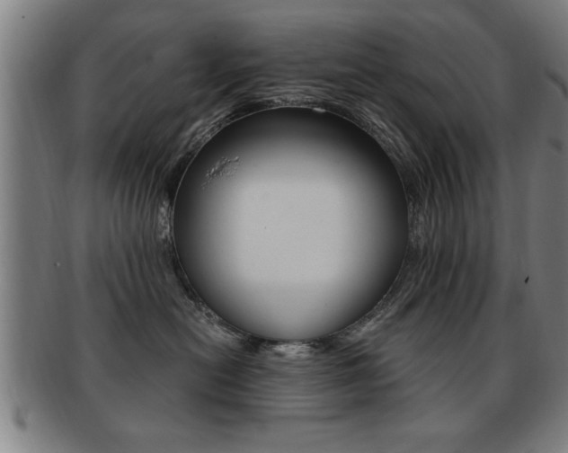 X0000091880478200709051018