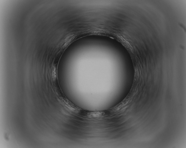 X0000091880479200709051018