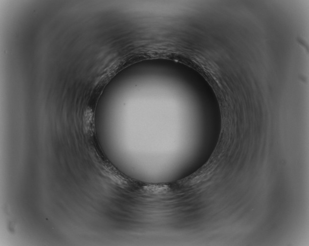 X0000091880480200709051018