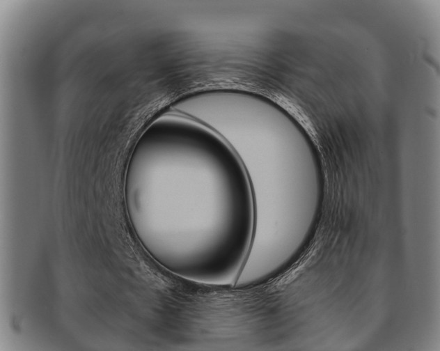 X0000091880481200709051017